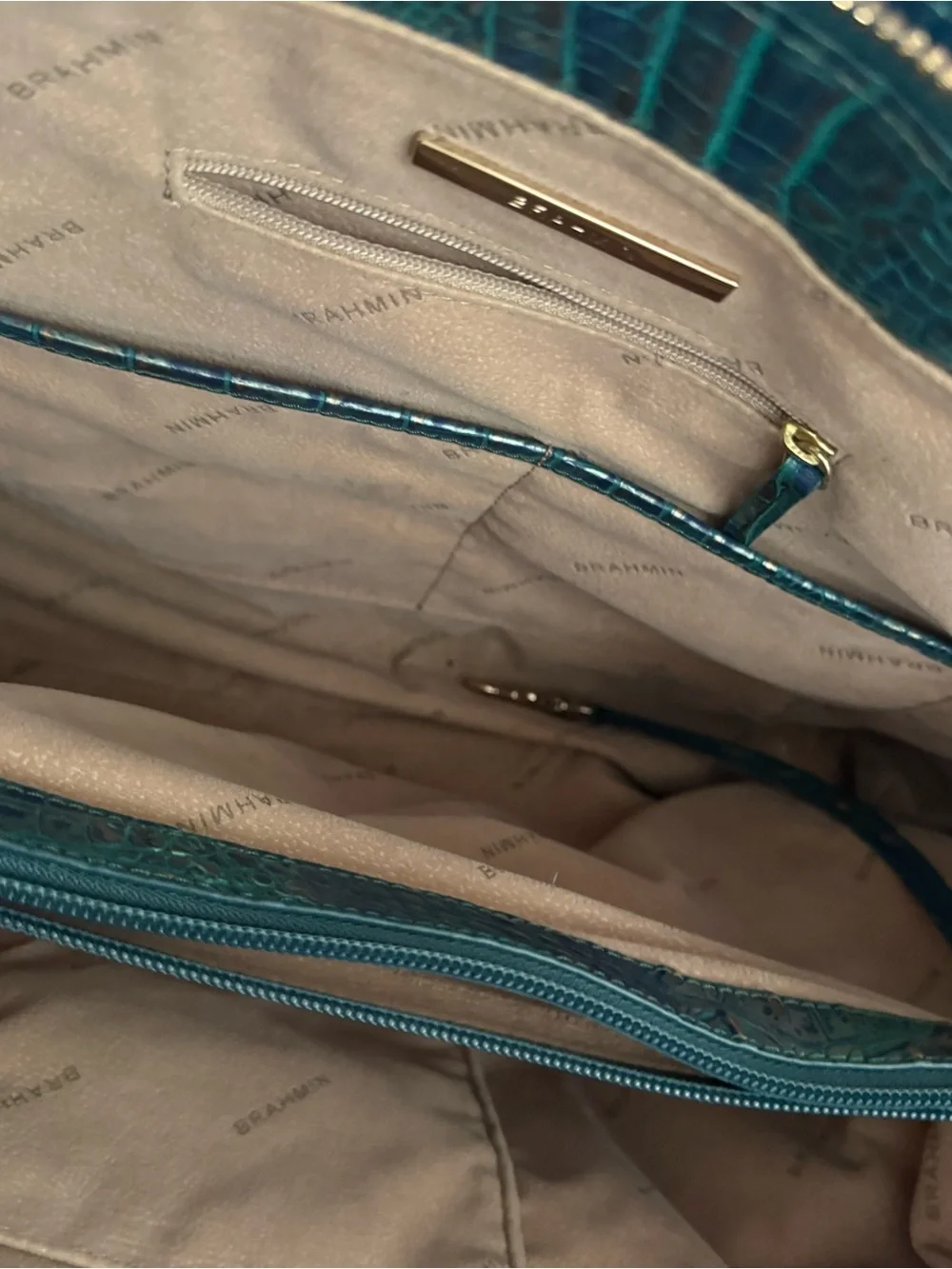 Brahmin this bag